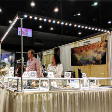 Load image into Gallery viewer, BEST jewelry display lighting