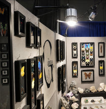 Load image into Gallery viewer, ProPanel LED Lighting, ProPanel LIghts for Art Shows, Craft Shows