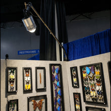 Load image into Gallery viewer, ProPanel LIghting, Pro Panel Lights, ProPanel Adapter for Art Shows, Craft Shows
