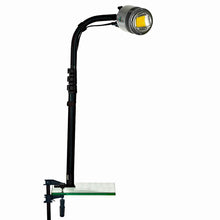Load image into Gallery viewer, Bright &amp; beautiful LED table clamp trade show lights