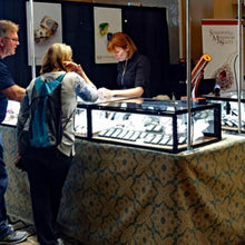 Load image into Gallery viewer, LED in case strip lights for Arizona cases